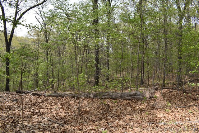 E 873 Street, Park Hill, OK 74451 - photo 2