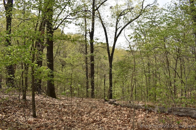 E 873 Street, Park Hill, OK 74451 - photo 3