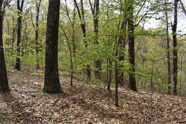 E 873 Street, Park Hill, OK 74451 - photo 4