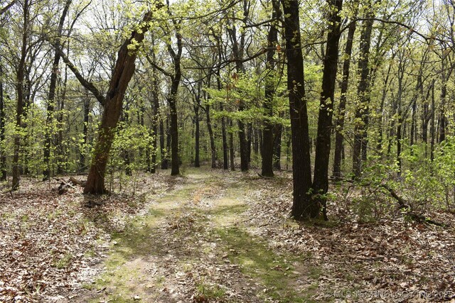 E 873 Street, Park Hill, OK 74451 - photo 7