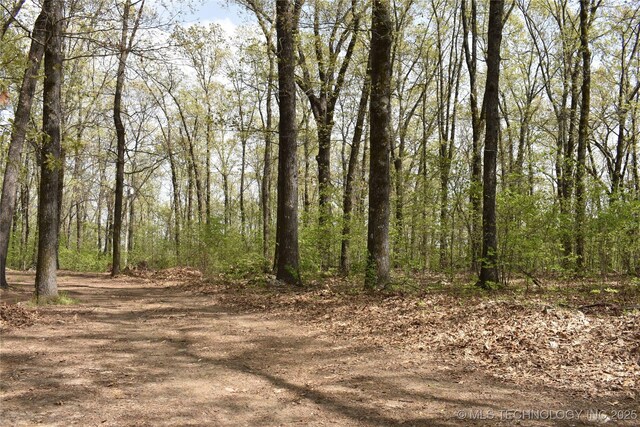 E 873 Street, Park Hill, OK 74451 - photo 8