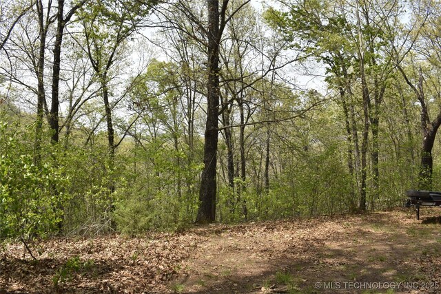 E 873 Street, Park Hill, OK 74451 - photo 14