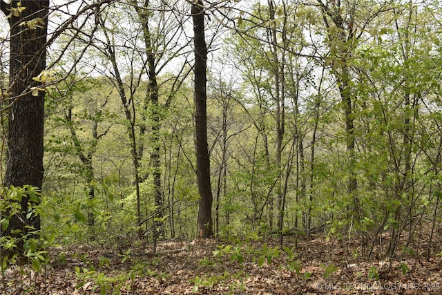 E 873 Street, Park Hill, OK 74451 - photo 15