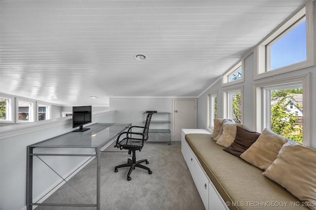 3334 S Wheeling Ave, Tulsa, OK 74105 - office space with light colored carpet and plenty of natural light