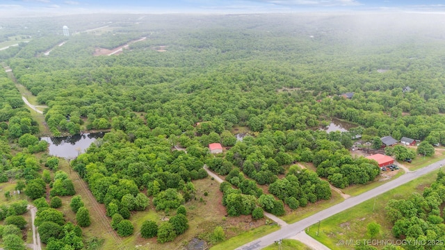 bird's eye view featuring a water view and a forest view