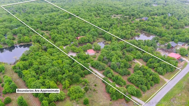 bird's eye view featuring a water view and a view of trees