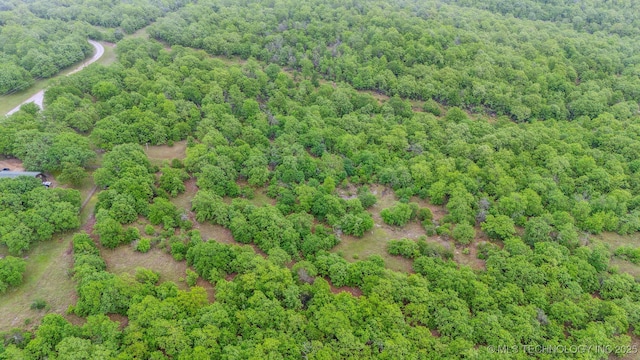 bird's eye view with a wooded view