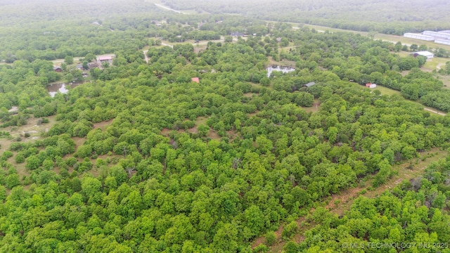 bird's eye view with a forest view