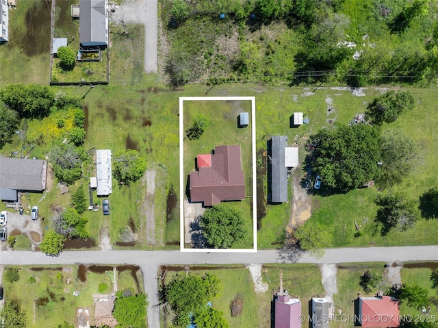 bird's eye view