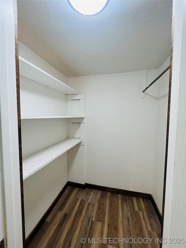 walk in closet featuring dark wood-type flooring