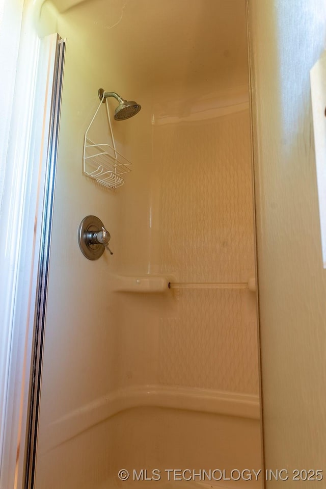room details with a shower
