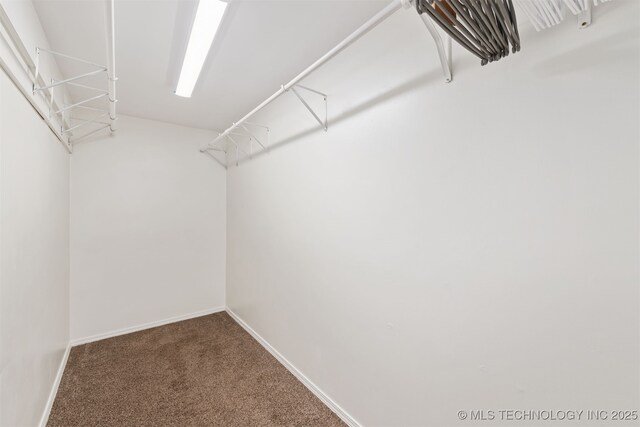 5068 County Road 370, Eucha, OK 74342 - walk in closet featuring carpet flooring