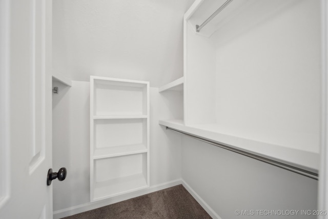 spacious closet with dark colored carpet