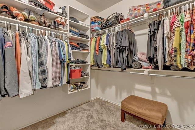 13215 E 182nd Cir, Bixby, OK 74008 - spacious closet featuring carpet