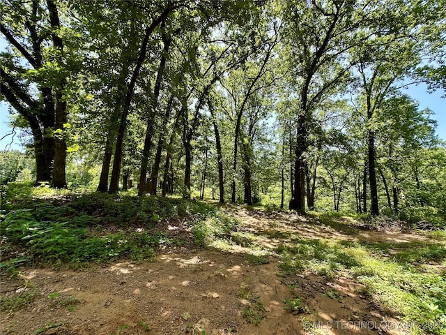 9585 Celia Berryhill Rd, Okmulgee, OK 74447 - view of undeveloped land