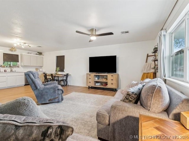 living room featuring ceiling fan, visible vents, and light wood-type flooring