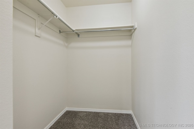 5974 E 146th Pl S, Bixby, OK 74008 - walk in closet with carpet flooring