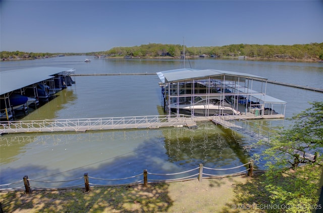 dock area with a water view