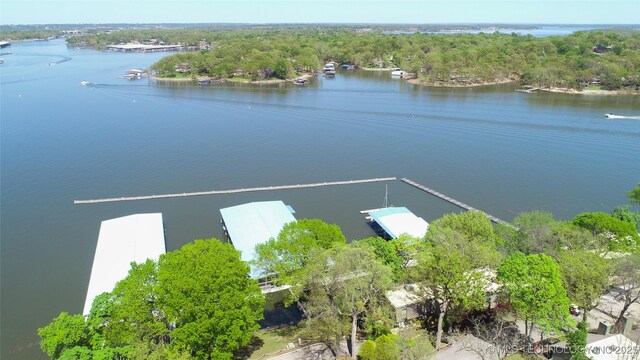 drone / aerial view with a water view and a view of trees