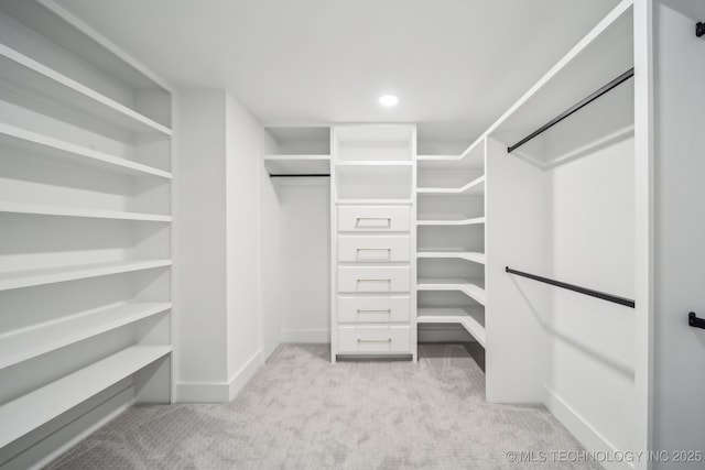 spacious closet featuring carpet floors