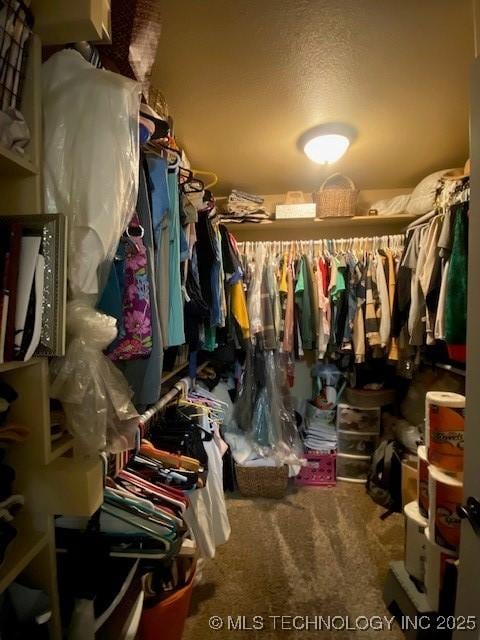 spacious closet featuring carpet flooring