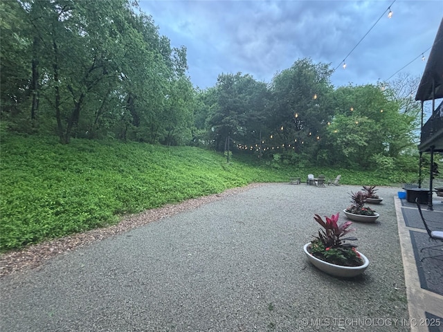 view of yard featuring a patio area