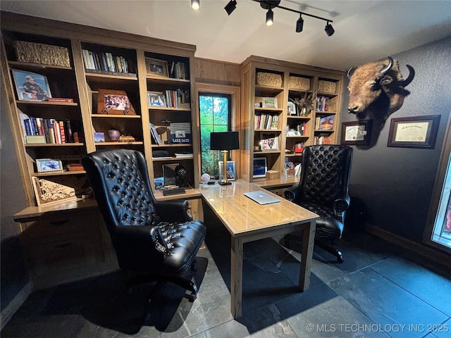 office with track lighting