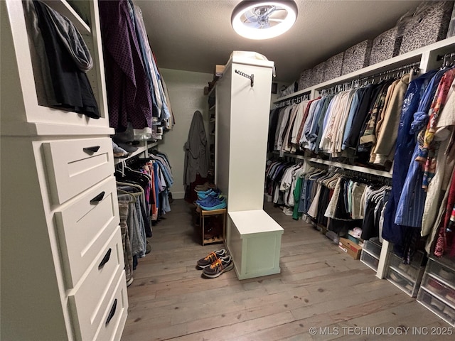 walk in closet with light wood-type flooring