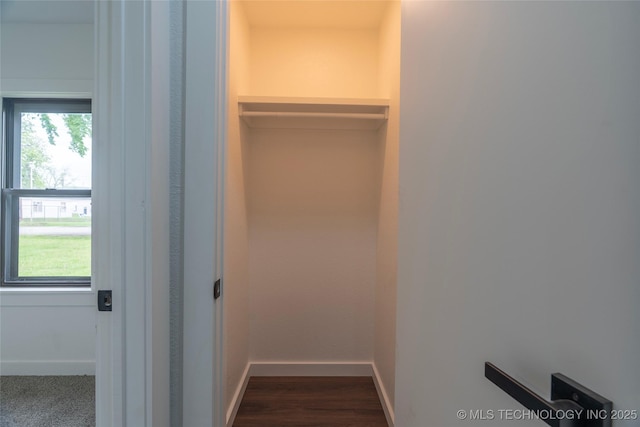 view of closet