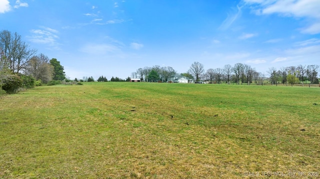 view of local wilderness with a rural view