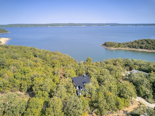 birds eye view of property with a water view and a view of trees