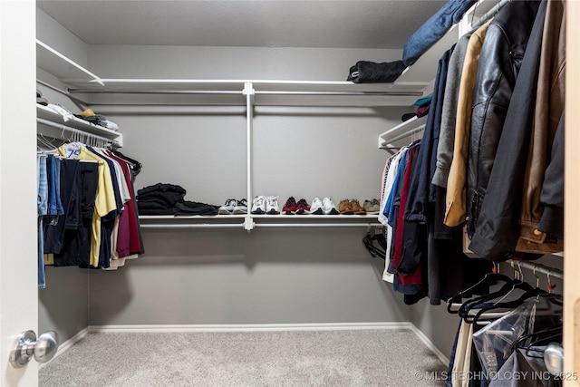 spacious closet with carpet