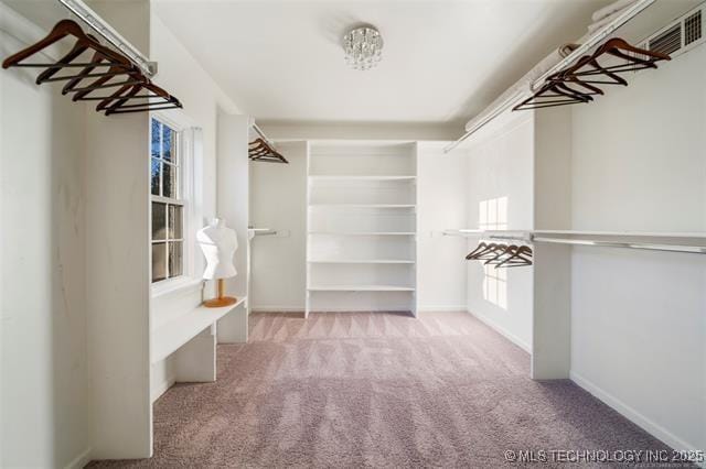 walk in closet with visible vents and carpet