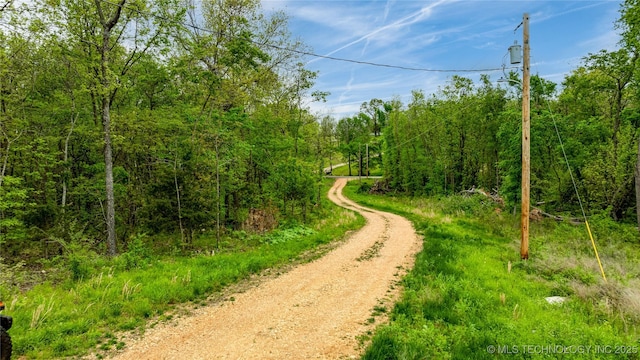 65365 E 155th Rd, Wyandotte, OK 74370 - view of road with a forest view
