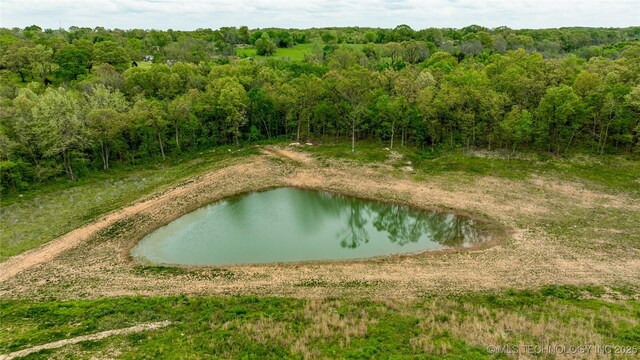 65365 E 155th Rd, Wyandotte, OK 74370 - bird's eye view featuring a water view and a view of trees