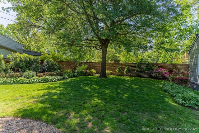 3505 S Birmingham Ave, Tulsa, OK 74105 - view of yard