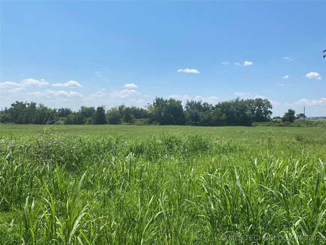 view of local wilderness featuring a rural view