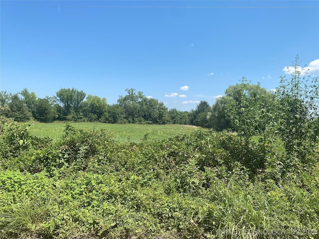 view of local wilderness