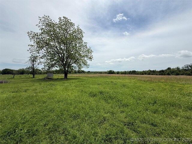 view of local wilderness featuring a rural view
