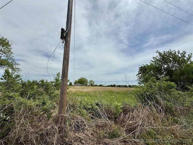 view of local wilderness