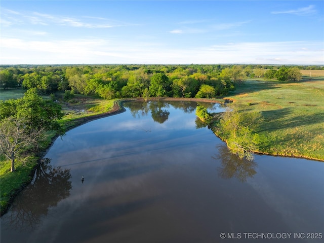 aerial view with a water view and a view of trees