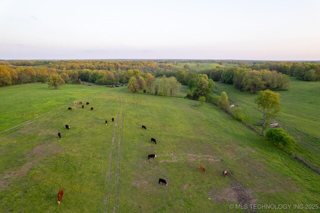 42 E 152nd Rd, Wyandotte, OK 74370