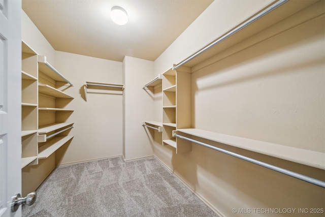 12314 N 131st E Ave, Collinsville, OK 74021 - walk in closet with light colored carpet