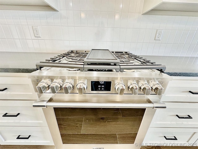 room details with stainless steel range and tasteful backsplash