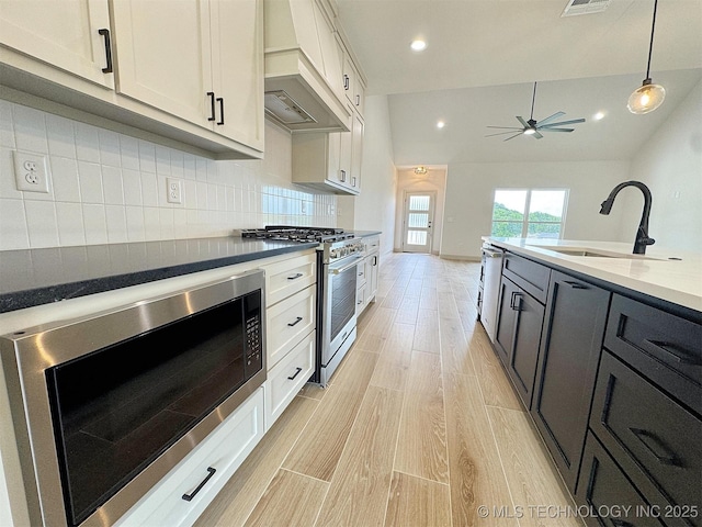 566 Woodlands Dr, Tahlequah, OK 74464 - kitchen featuring stainless steel appliances, premium range hood, a sink, light wood finished floors, and a ceiling fan