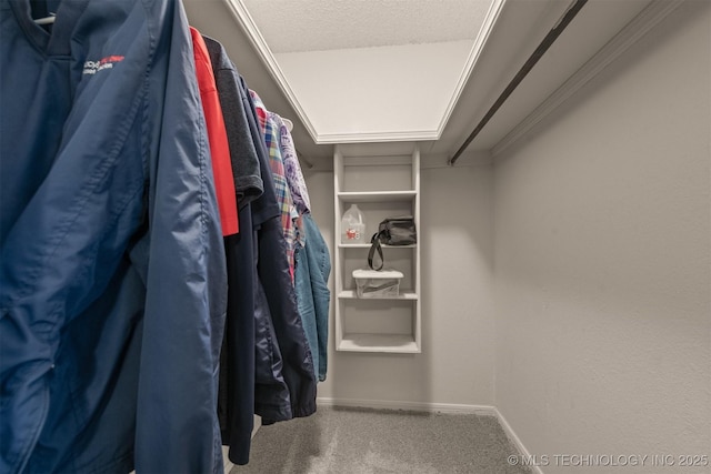 spacious closet featuring carpet flooring
