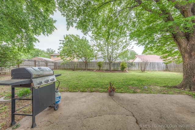 view of yard featuring a fenced backyard and a patio area