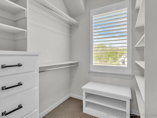 13651 S 26th St, Jenks, OK 74008 - spacious closet with carpet