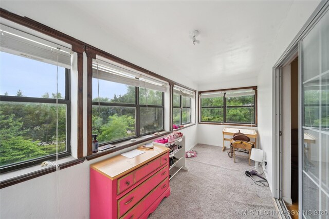 sunroom / solarium with carpet floors