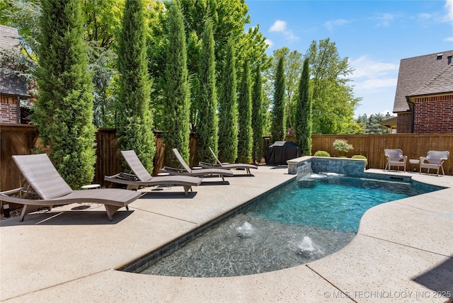 view of pool featuring a fenced in pool, a fenced backyard, a patio area, and a grill